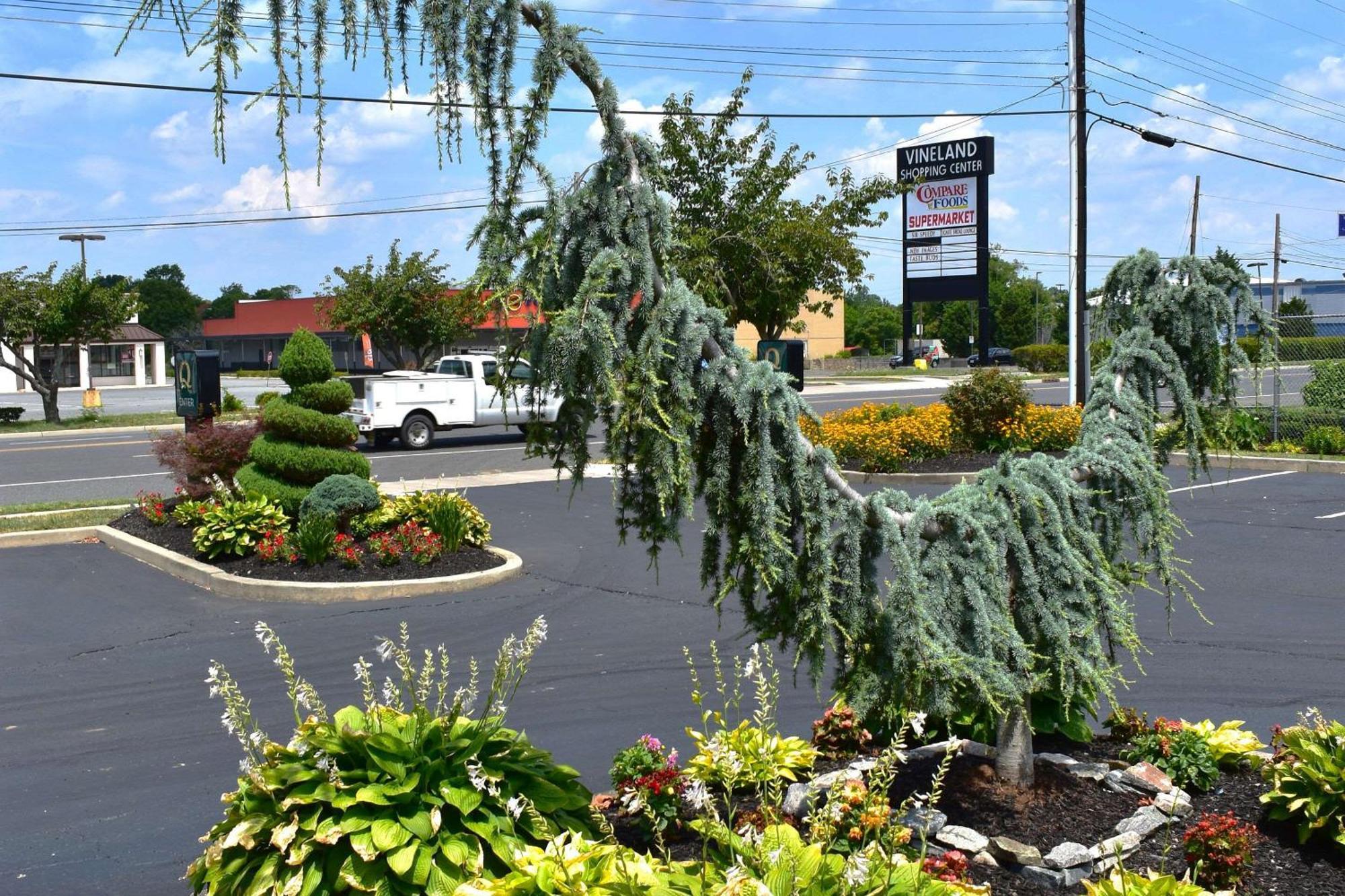Quality Inn Vineland Luaran gambar